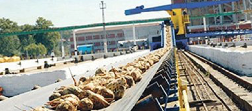 Akal Mühendislik ve Makina